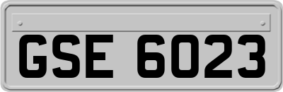 GSE6023