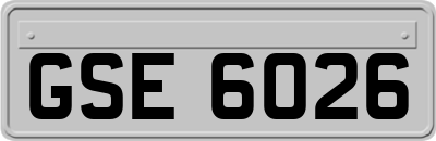 GSE6026