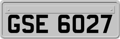 GSE6027