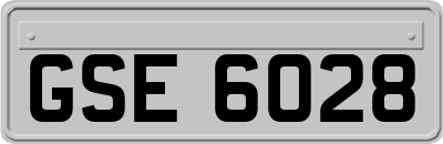 GSE6028
