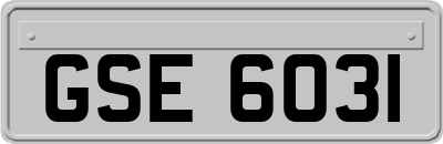 GSE6031