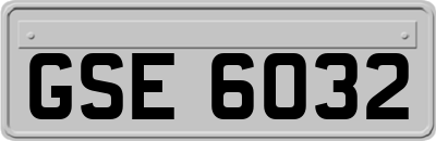 GSE6032
