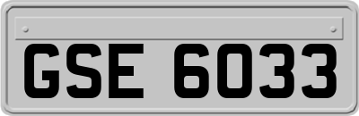 GSE6033