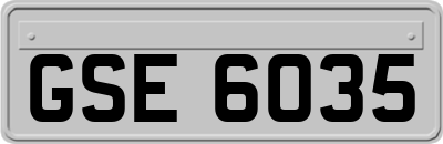 GSE6035