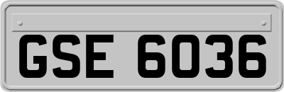 GSE6036