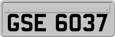 GSE6037