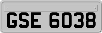 GSE6038