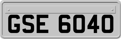 GSE6040