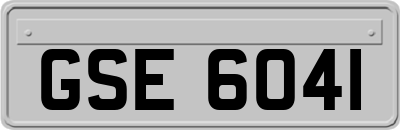 GSE6041