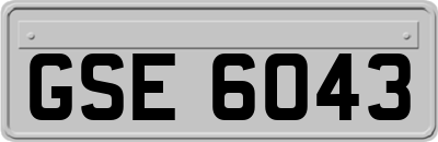 GSE6043