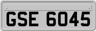 GSE6045