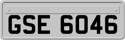 GSE6046