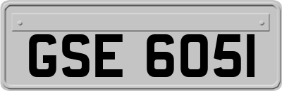GSE6051