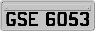 GSE6053