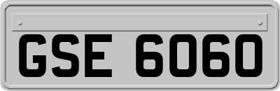 GSE6060