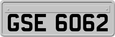 GSE6062