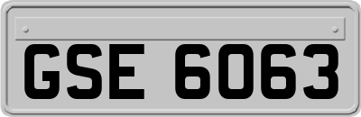 GSE6063