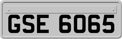 GSE6065