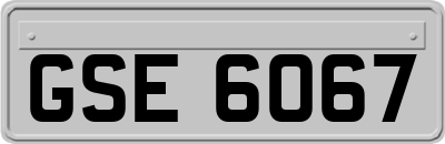 GSE6067