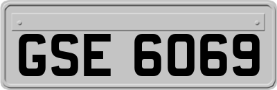 GSE6069