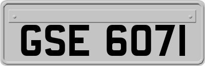 GSE6071
