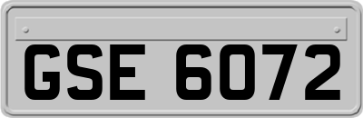 GSE6072
