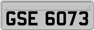 GSE6073