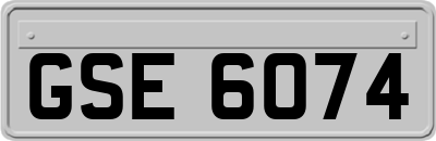 GSE6074