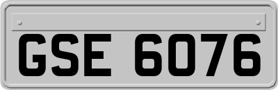 GSE6076