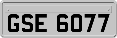 GSE6077