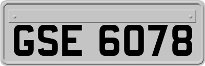 GSE6078