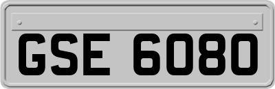 GSE6080
