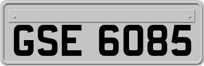 GSE6085