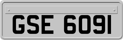 GSE6091