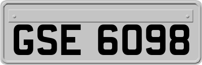 GSE6098