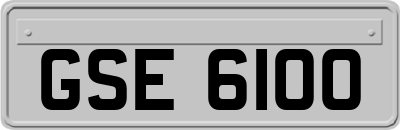 GSE6100