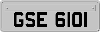 GSE6101