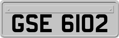 GSE6102