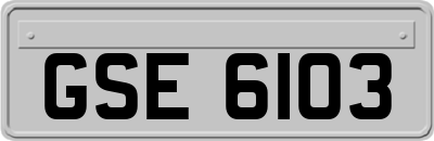 GSE6103