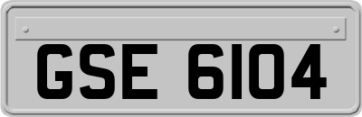 GSE6104