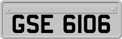 GSE6106