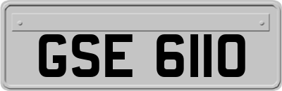 GSE6110
