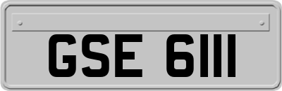 GSE6111