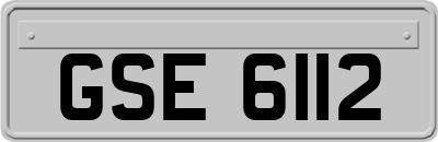 GSE6112
