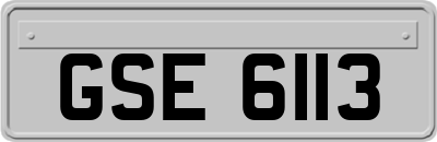 GSE6113