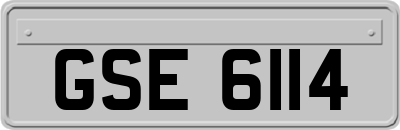 GSE6114