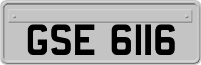 GSE6116