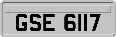 GSE6117