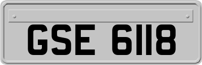 GSE6118