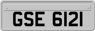GSE6121